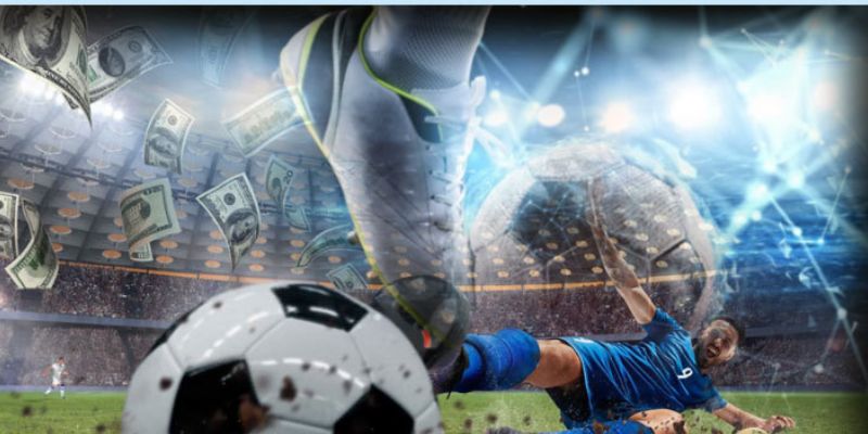 Các giải đấu bóng đá hàng đầu cấp đội tuyển quốc gia