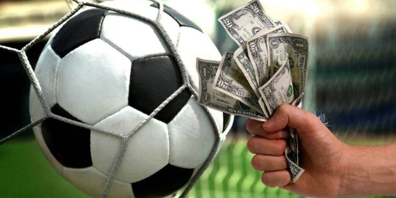 Dấu Hiệu Trận Đấu Bán Độ - Tìm hiểu Cách Phòng Tránh